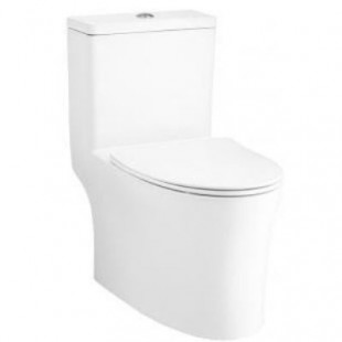BỒN CẦU 1 KHỐI COTTO C105607