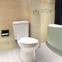 Bàn cầu 2 khối Thiên Thanh Sand