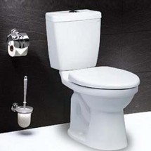 Bồn cầu 2 khối Caesar CDS1325 (Nắp đóng êm)