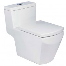 Bàn cầu 1 khối Cotto  C10717