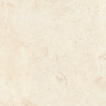 ECO-S821 