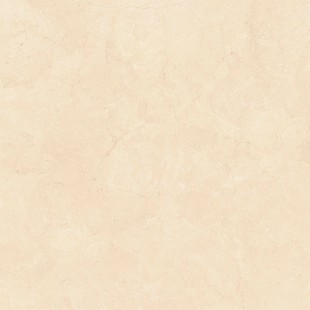 ECO-S820 