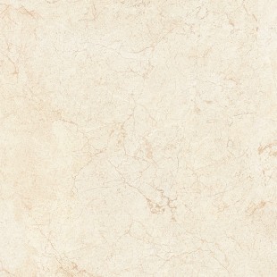 ECO-S821 