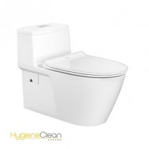 Bồn cầu 1 khối American Standard VF-1808E