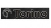 TORINO